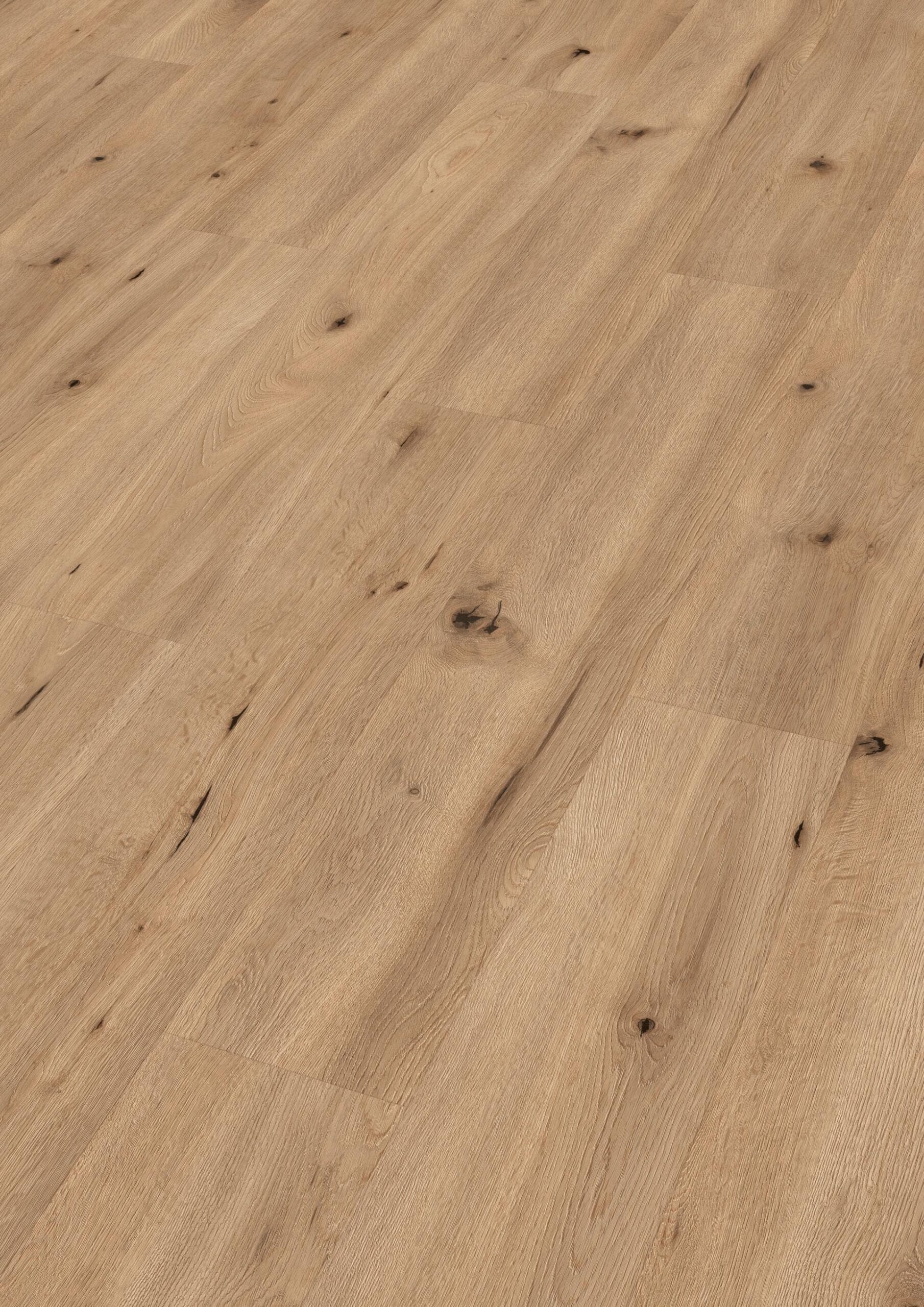 Roble de campo claro 6843 | Suelo laminado Meister LL 150 (S)