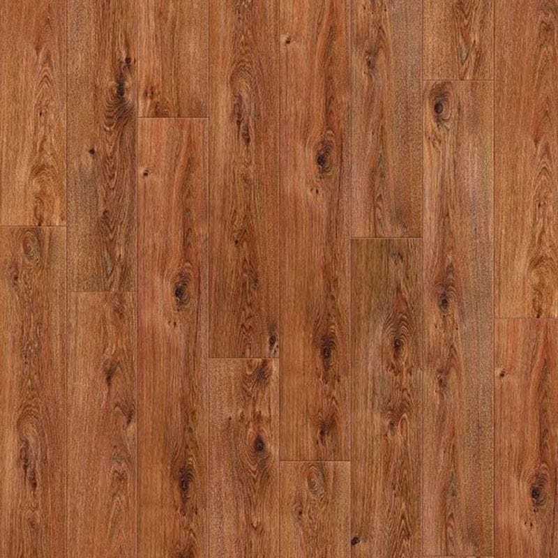Roble Barril DisFloor Top Nature Prof AC5 33835