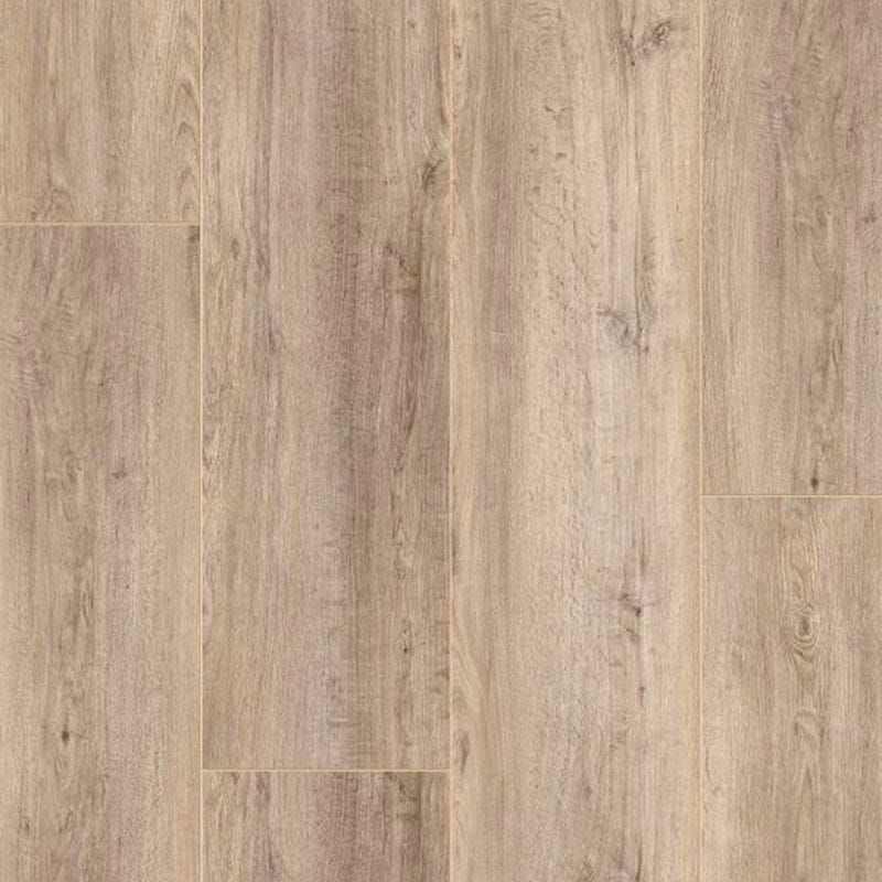 Suelo laminado Roble Jack DisFloor Top XXL AC4 36807