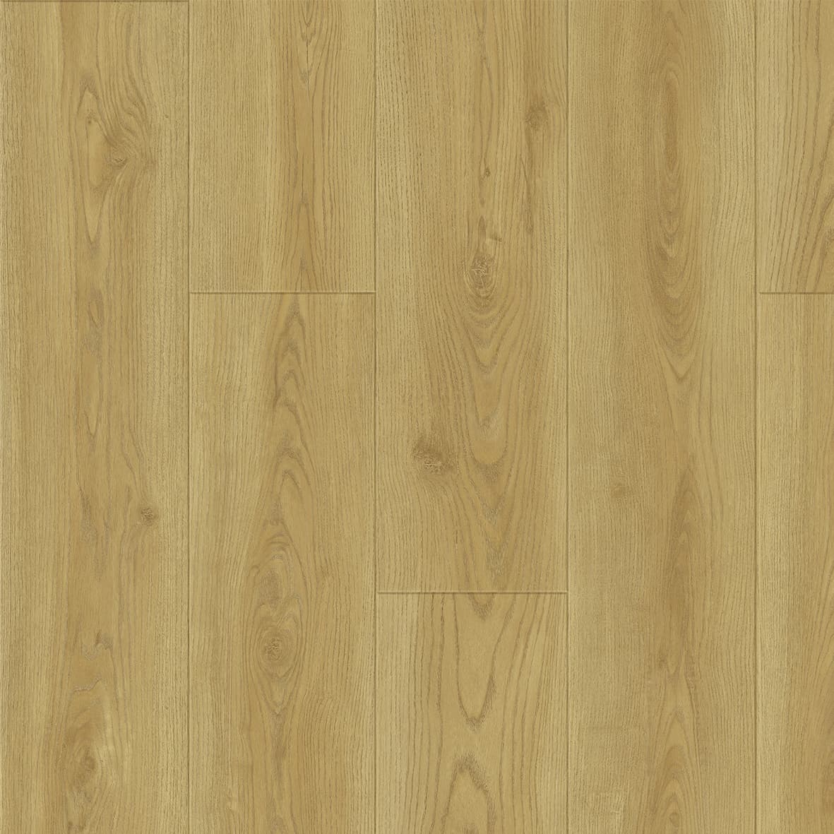 Roble Miami 4V - S186743 - Faus Cosmo 4V